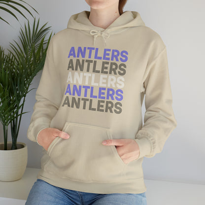 Adult Antlers on Repeat Unisex Hooded Sweatshirt