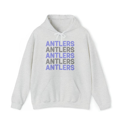 Adult Antlers on Repeat Unisex Hooded Sweatshirt