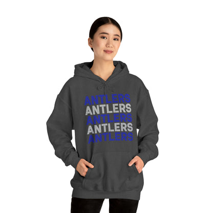 Adult Antlers on Repeat Unisex Hooded Sweatshirt