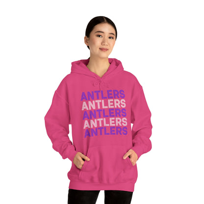 Adult Antlers on Repeat Unisex Hooded Sweatshirt