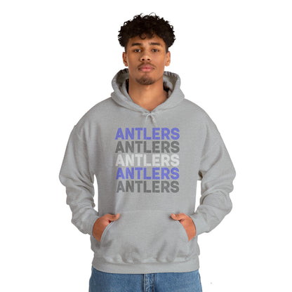 Adult Antlers on Repeat Unisex Hooded Sweatshirt