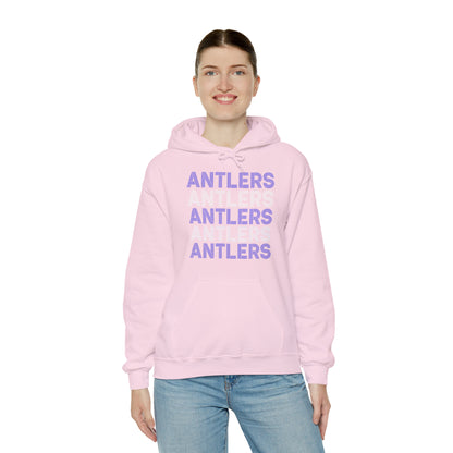 Adult Antlers on Repeat Unisex Hooded Sweatshirt