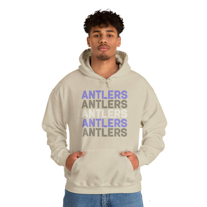 Adult Antlers on Repeat Unisex Hooded Sweatshirt