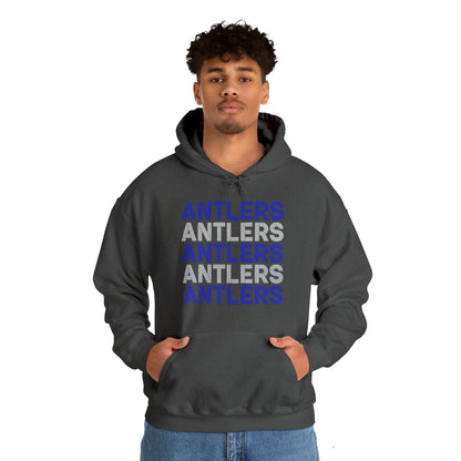 Adult Antlers on Repeat Unisex Hooded Sweatshirt